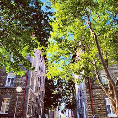 Nook I Palarikova * Bratysława